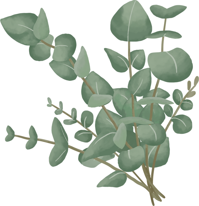 Watercolor Eucalyptus Plant