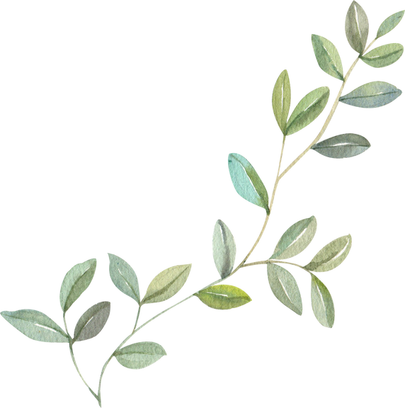 Watercolor Plant Branch