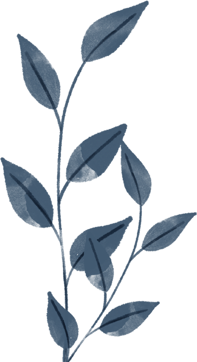 Watercolor Plant Branch Illustration 