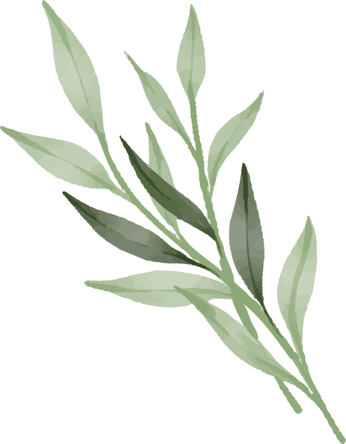 Watercolor Plant Leaves