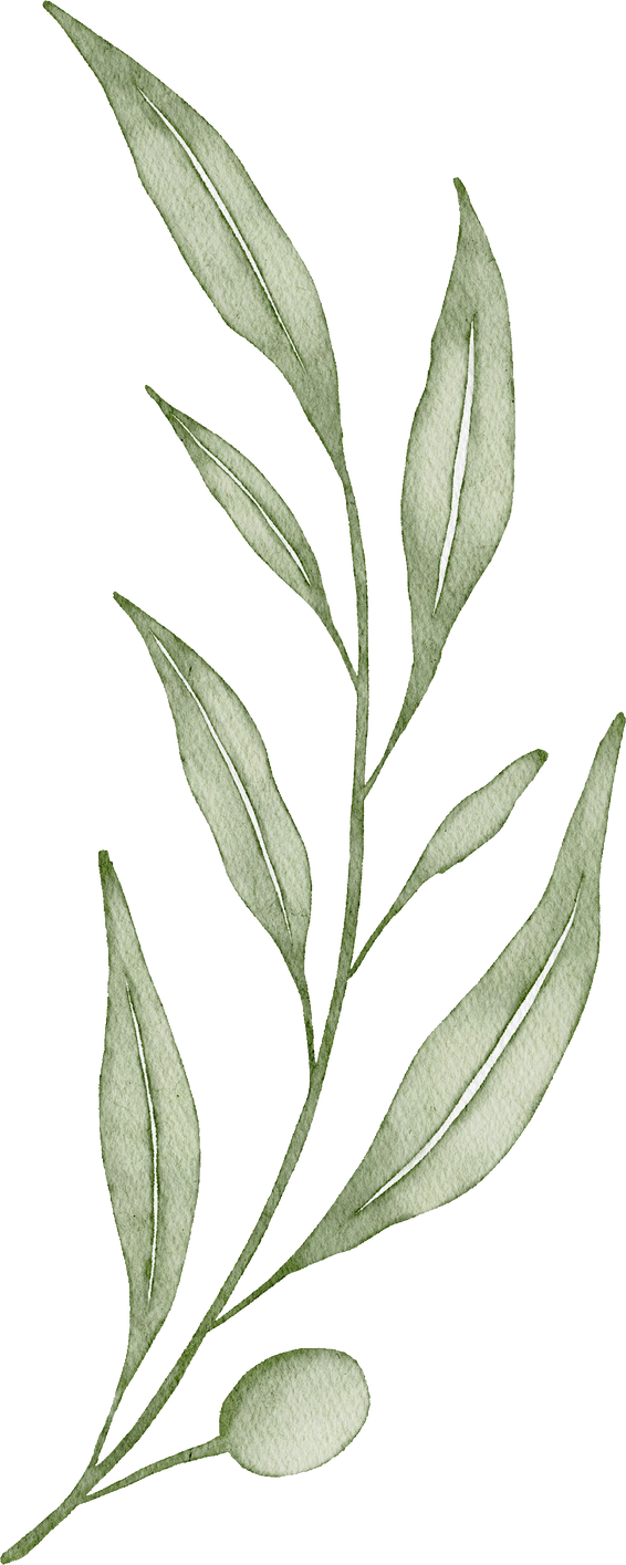 Watercolor Plant Branch