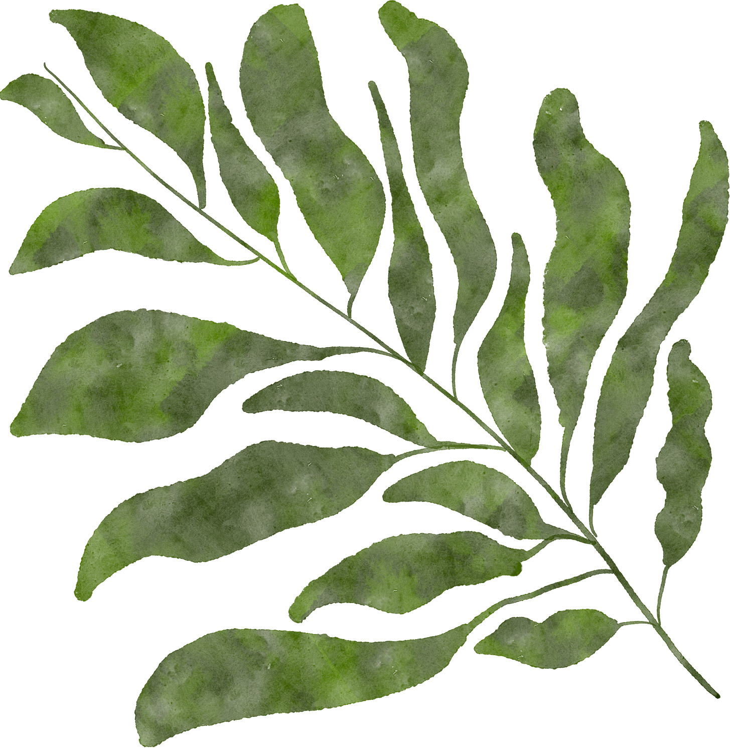 Watercolor Plant