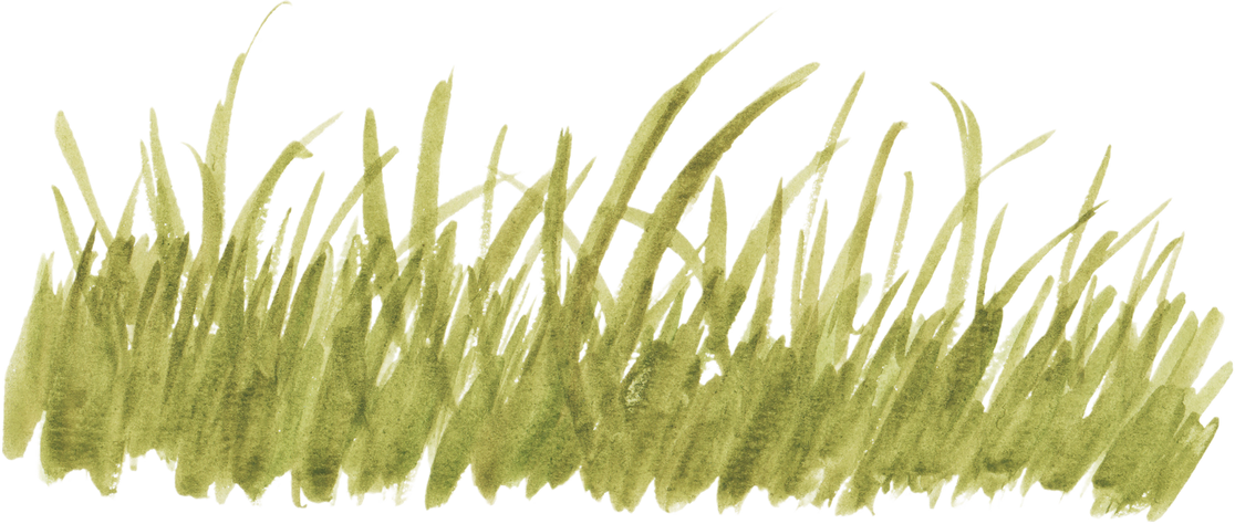 Watercolor Grass Illustration