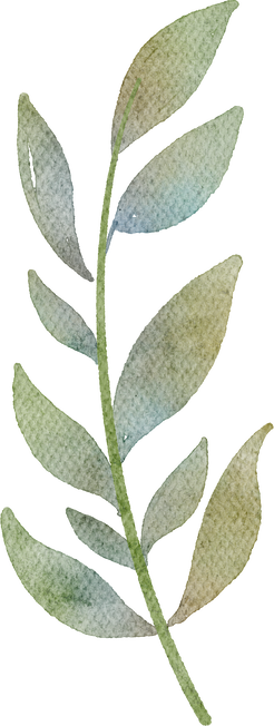 watercolor leaves