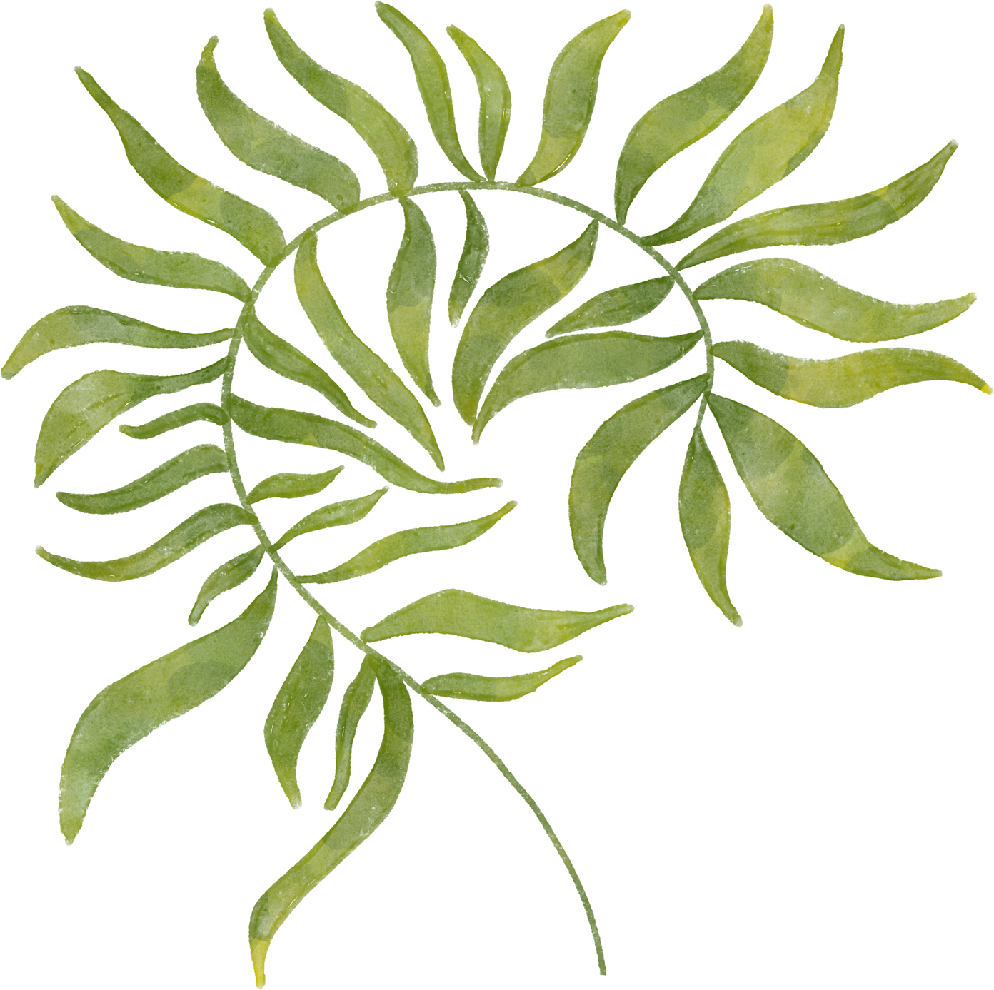 Watercolor Plant