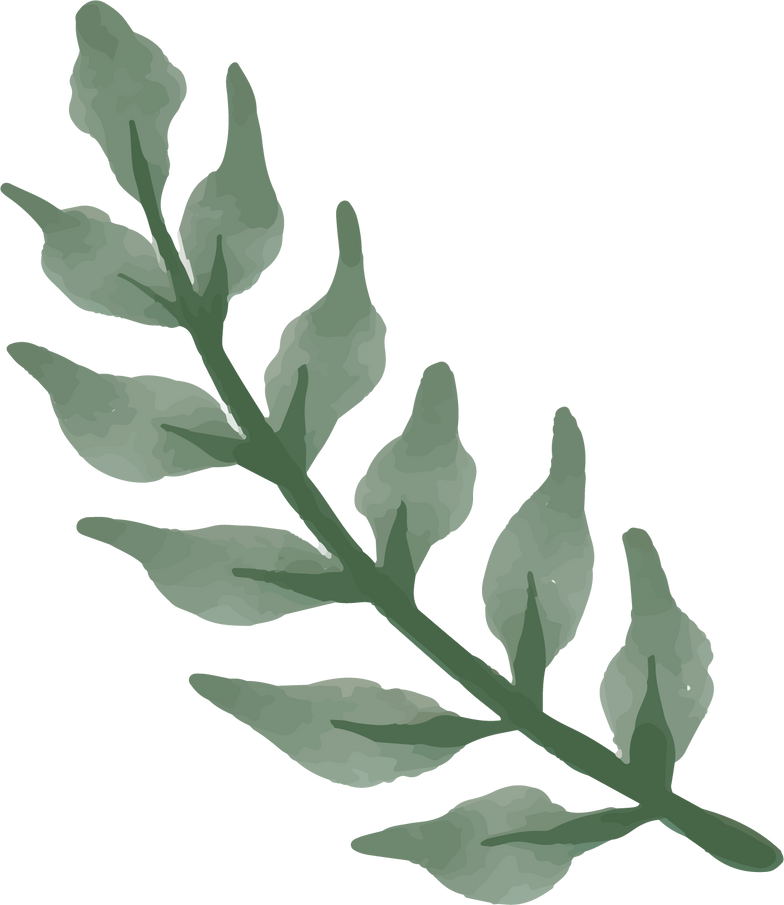 Watercolor Plant Leaves